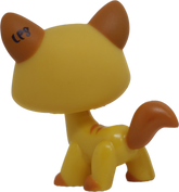 #1137 Destiny Cat